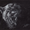 Nature Fauve (Black Panther)