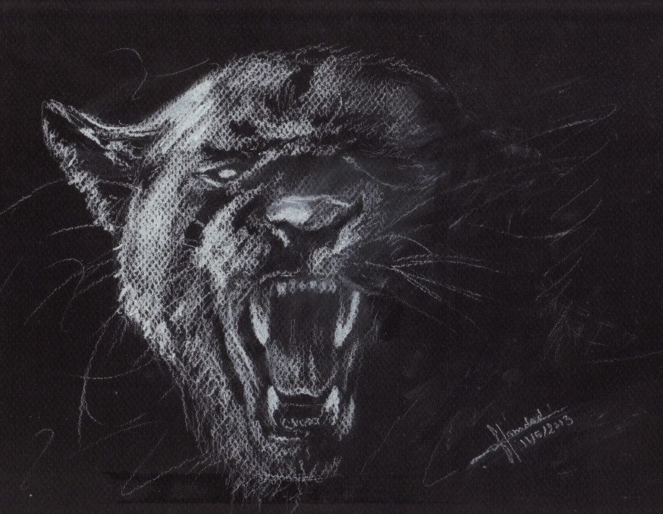Nature Fauve (Black Panther)