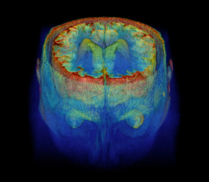 Read more about the article Neuroscience Reveals What Fasting Does To The Brain (And Why Big Pharma and the Food Industry Won’t Study It)