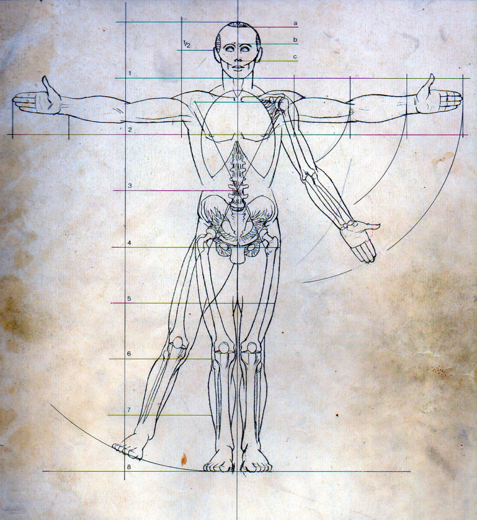 DaVinci's Canon