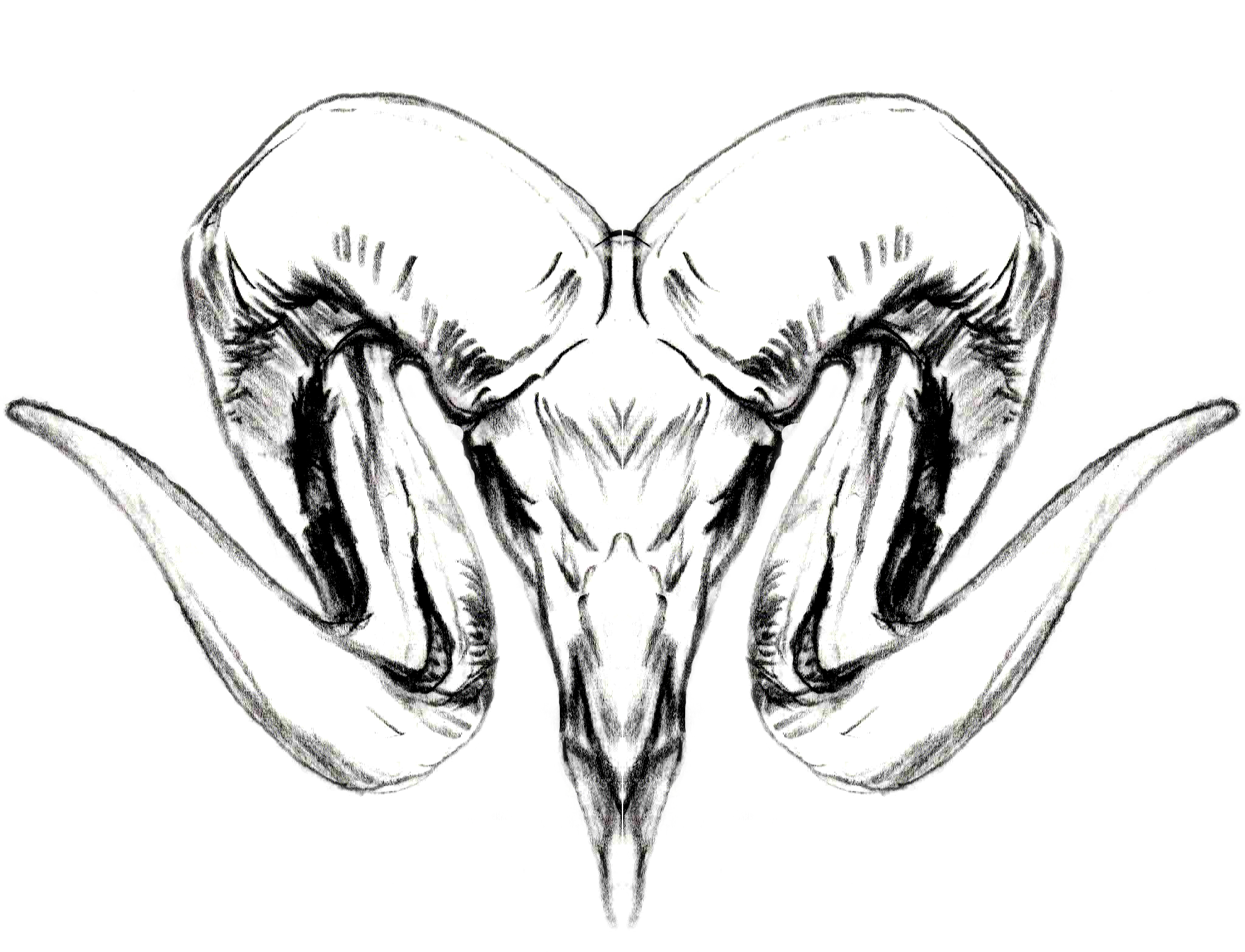 Logo – Aries Rise Logo - Aries Rise